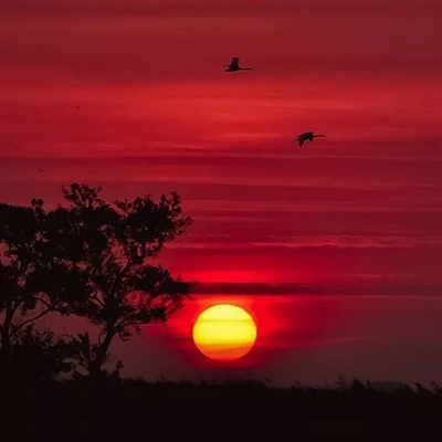 阳光温暖美好的头像(16张)