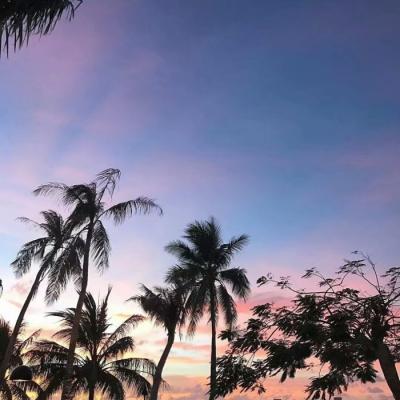 阳光温暖美好的头像(16张)