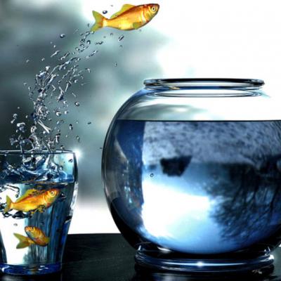 阳光温暖美好的头像(16张)