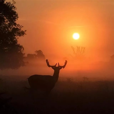 阳光温暖美好的头像(16张)