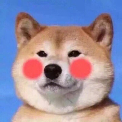 呆萌搞笑的狗狗情侣头像图片(共20张)