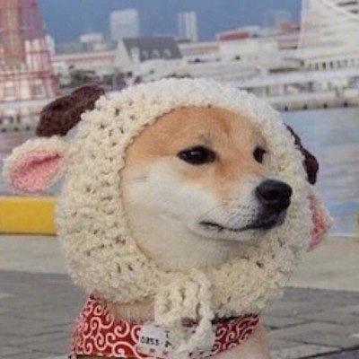 呆萌搞笑的狗狗情侣头像图片(共20张)