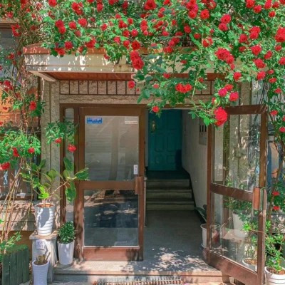 微信头像2023最新风景图片(优选38张)