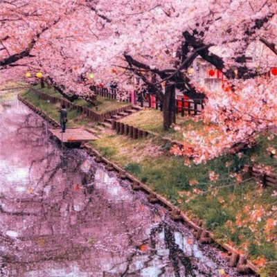 微信头像2023最新风景图片(优选38张)