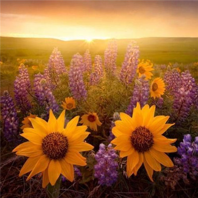 微信头像2023最新风景图片(优选38张)