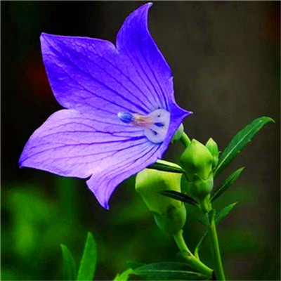 微信头像2023最新风景图片(优选38张)