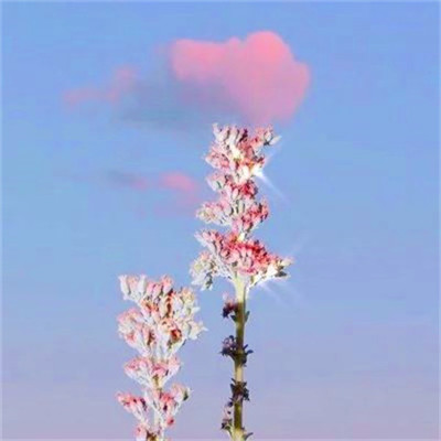 微信头像2023最新风景图片(优选38张)