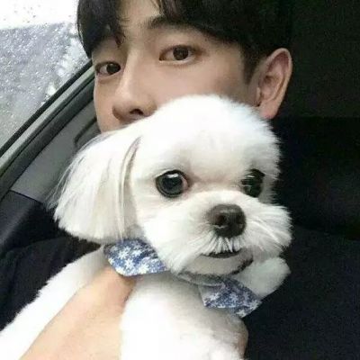 抱小动物的男生头像(精选16张)