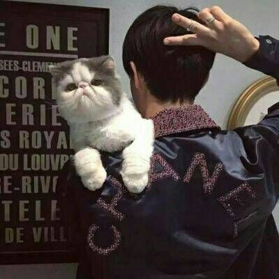 抱小动物的男生头像(精选16张)