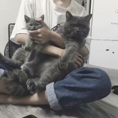 帅气男生抱可爱小动物头像精选图片(精选36张)