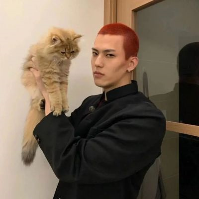 帅气男生抱可爱小动物头像精选图片(精选36张)