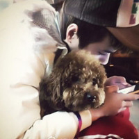 帅气男生抱可爱小动物头像精选图片(精选36张)