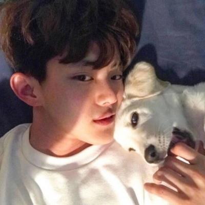 帅气男生抱可爱小动物头像精选图片(精选36张)