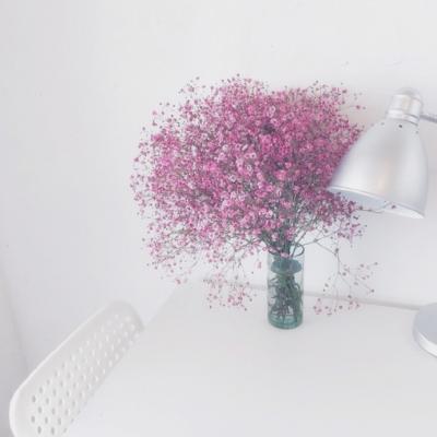 高清清新的干净简单静物头像图片(共20张)