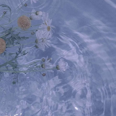 简单温暖静物微信头像(共22张)