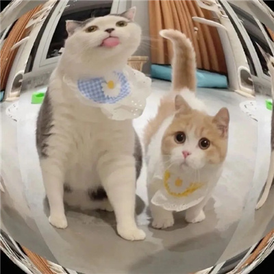 简单又幸福的卡通情侣头像(共16张)