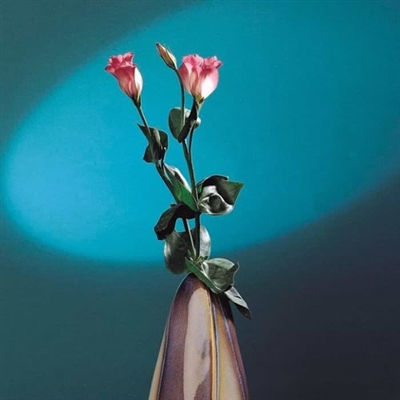 一辈子不用换的头像(18张)