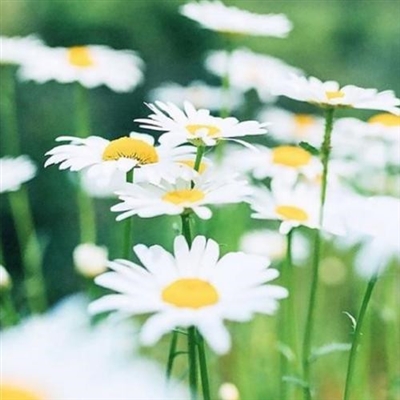 一辈子不用换的高质量头像(精选18张)