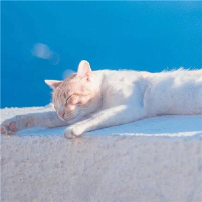 预示着发财和好运的头像(精选40张)