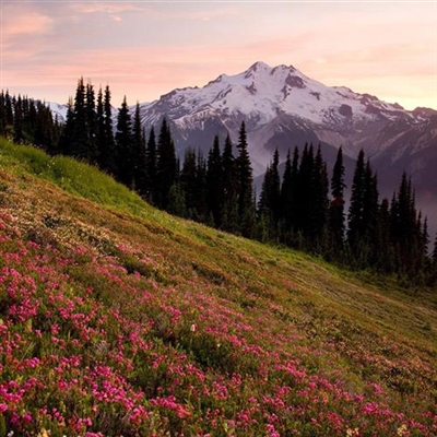 带正能量的风景图片头像(精选36张)