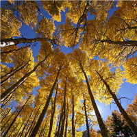 伤感风景头像微信头像(优选38张)