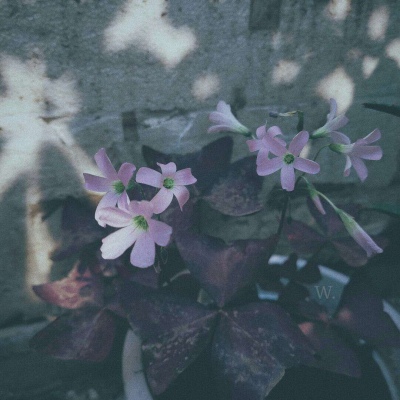 伤感风景头像微信头像(优选38张)