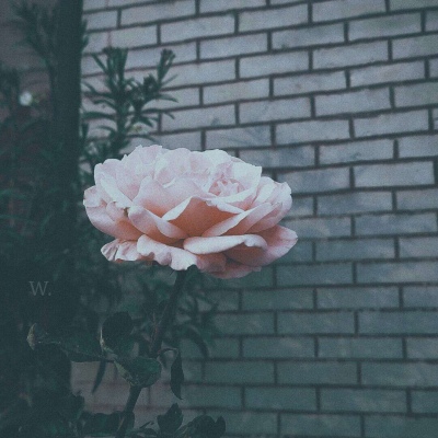 伤感风景头像微信头像(优选38张)