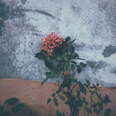 伤感风景头像微信头像(优选38张)