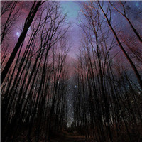 伤感风景头像微信头像(优选38张)