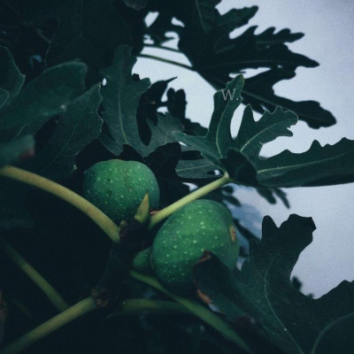 伤感风景头像微信头像(优选38张)