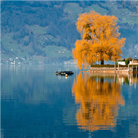 伤感风景头像微信头像(优选38张)