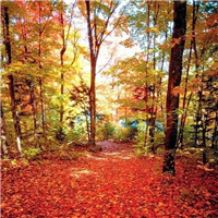 伤感风景头像微信头像(优选38张)