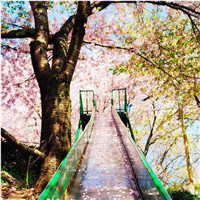 伤感风景头像微信头像(优选38张)