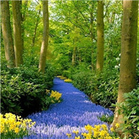 伤感风景头像微信头像(优选38张)