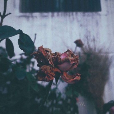 伤感风景头像微信头像(优选38张)