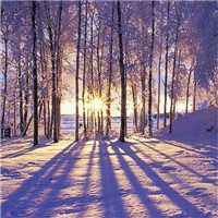 伤感风景头像微信头像(优选38张)