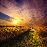 伤感风景头像微信头像(优选38张)