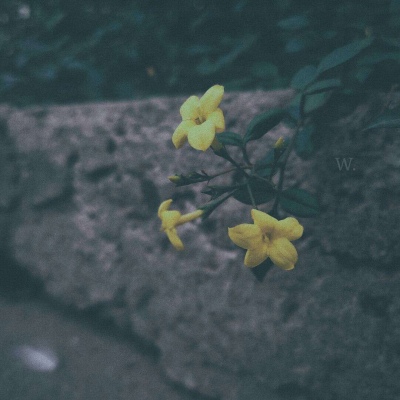 伤感风景头像微信头像(优选38张)