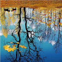 伤感风景头像微信头像(优选38张)