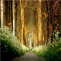 伤感风景头像微信头像(优选38张)