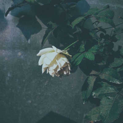 伤感风景头像微信头像(优选38张)