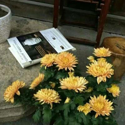 老年人微信头像风景(精选30张)