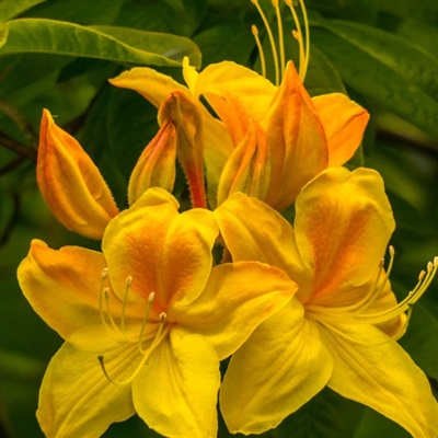 好看的头像妈妈专用(精选22张)