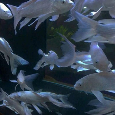 60多岁老人微信头像风景(精选26张)