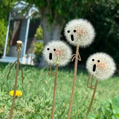 60多岁老人微信头像风景(精选26张)