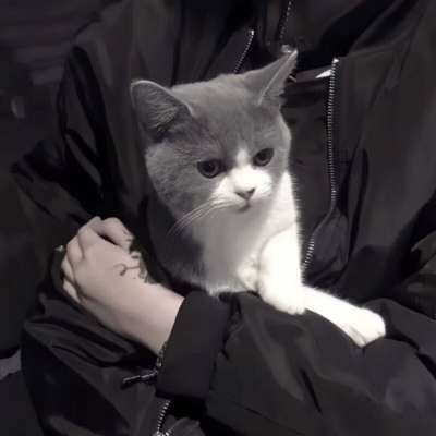 不易撞的神仙情侣头像(优选16张)