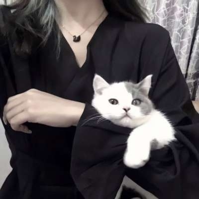 不易撞的神仙情侣头像(优选16张)