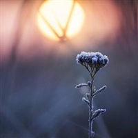 45岁女人用的微信头像高清(共18张)