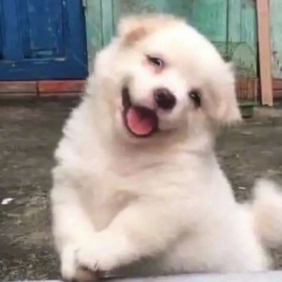 超级爆笑沙雕头像图片(精选28张)