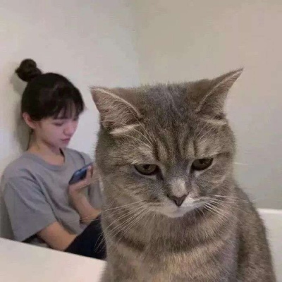 超级爆笑沙雕头像图片(精选28张)